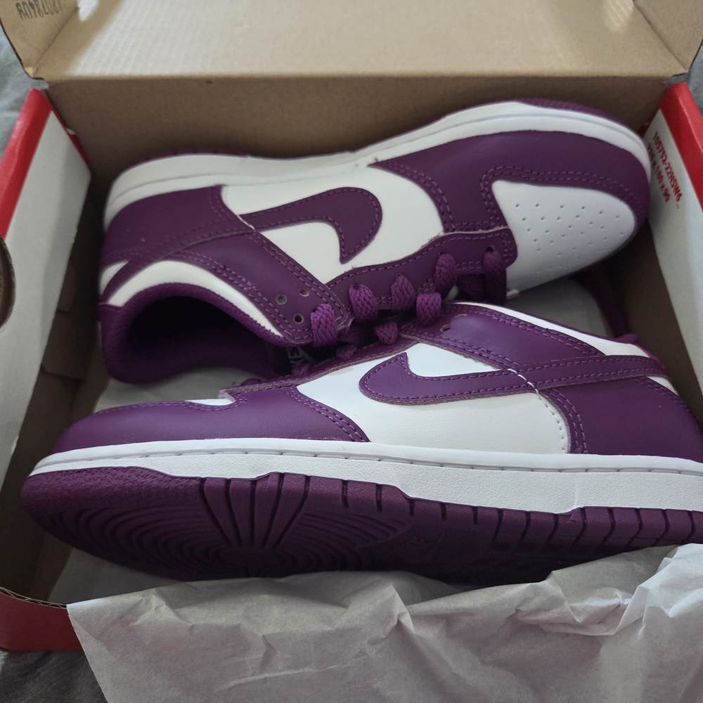 Nike Dunk Low (PSE) Sneakers - NEVER WORN!!! NEW IN BOX!
